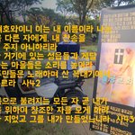 주님의 공원 버스킹 ^ ^ (주는 여호와니... 유튜브 교회 #활공교회)
