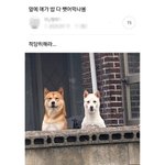 나처럼 애기 싫어하는 애들 있냐