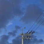 [댓글부탁해] 나 <b>entp</b> 20살 여자임 질문 ㄱ