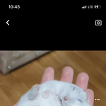 [드루와] <b>이분</b> 판녀임?