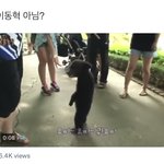 [NCT칠프] 하 나 이영상 이동혁같다고 하는거 올라올때마다