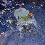 아이폰 쓰는 애들아 <b>알람</b>