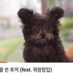 [방탄소년단] 너튜브보다가 정구기 닮은 <b>아가</b>봄ㅋㅋ