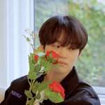 [NCT드림] <b>종천</b>러 왜케 잘생김