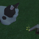 [<b>레이</b>] 사담)