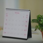 새해 3일동안 <b>유미</b> 세포마을에서 일어나는 일