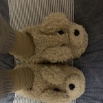 짱귀여운 강아지 <b>실내</b>화보고갈사람