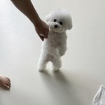 [댓글부탁해] 점 빼본 사람 ㅠㅠ