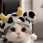 수면<b>잠옷</b>입고 보일러 틈