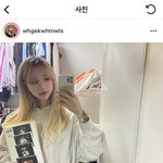 [이것좀봐줘] 헐 조두팔 임신함