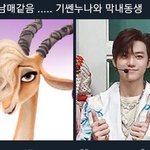 [NCT칠프] ㅌㅇㄴ ㅈㅅ 쟤현이머리 <b>가젤</b>같다고?