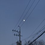 [19] 나 <b>미래</b>보는데 고민적어봐