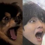 뷔 존똑