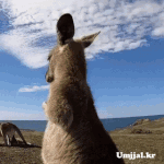 [방탄소년단] 이 새벽에 17  마<b>ma</b> 막드 본 나