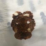 태권도 <b>관장</b>이 허벅지 치는데 가지 말까?