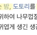 [BTOB] 나의 <b>다람쥐</b>과몰입세계관에 변화가 생김
