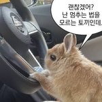 [댓글부탁해] 근데 너네가 K배우라고 생각해봐