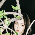 김선호 입장문 떳어