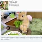 [댓글부탁해] 썸남?이 저<b>메추</b> 해달라는데 뭐해줄까?