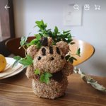[댓글부탁해] 이거 <b>생선</b>으로 받으면 어떨 것 같아⁉️