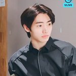 [엔하이픈] 덮머 체고지만