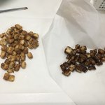 화이자1차 후기