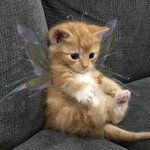 [댓글부탁해] 애들아 이거 썸같니ㅠㅠㅠ?