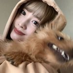 <b>모모</b>와 어딘가 이상한 강아지들