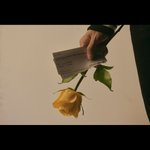 [NCT칠프] <b>장미</b>가 <b>장미</b>를 들었어...