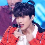 이 머리 나무 좋아 ㅠㅠ