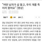 삽들고 개죽이러온  남자.<b>gif</b> ㄷㄷㄷ