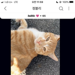 [NCT칠프] 팈탁 <b>인정</b>하십니까
