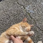 [<b>이태용</b>] 이거 겁나 힐링영상ㅜ