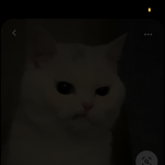 아니 핀터레스트 <b>사진</b> <b>저장</b> 어케함?