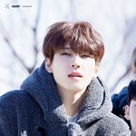 나 진짜 <b>고잉셉</b>만 보는 타팬인데