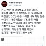 [세븐틴] 음<b>총팀</b> 이거 봐봐