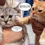 나 짝<b>남</b>이랑 <b>안</b> 친한데 ㅠㅠ