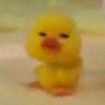 시험 <b>칠때</b> 긴장