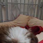 [NCT칠프] 우리 아기 많이 컸엉