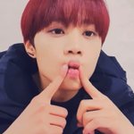 야 니네 <b>샤</b>이니 이거 알고 있었냐...