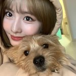 트와이스 모모 버블 출석 봐