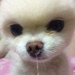 [댓글부탁해] 라면 2주동안 참아본사람
