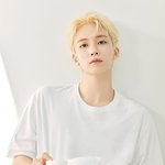 [세븐틴] <b>바닐라코</b> 정한 사랑이네