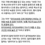 이짤로 타돌패면