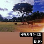 [BTOB] 육캔두잇씨한테 오랜만에 혼나는 기분
