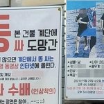 "계단에 X 싼 남자 <b>자수</b>하라" 대전 건물에 걸린 분노 현수막