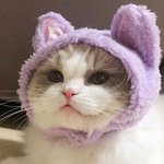 [댓글부탁해] <b>연말</b> 다 와가니까 되게