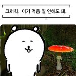 저<b>메추</b> 해죠~