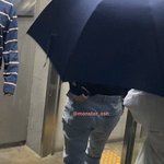 울 살구 다리봐