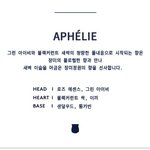 [NCT칠프] 이태용 첫 향수 냄새,,,